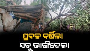 ରାଜଧାନୀ ରେ ତାଣ୍ଡବ ରଚିଲା କାଳବୈଶାଖୀ । ଭାଙ୍ଗିଲା ଗଛ, ଉଡ଼ିଲା ଘର ଛାରଖାର କଲା ଜନତା ମଇଦାନ ର ରଜ ଉତ୍ସବ ।